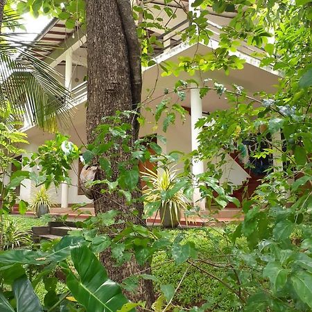 Yonara Green Rest ฮาบารานา ภายนอก รูปภาพ